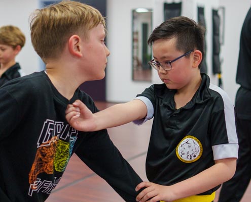 Wing Chun voor Kinderen in Den Haag | Martial Arts Center